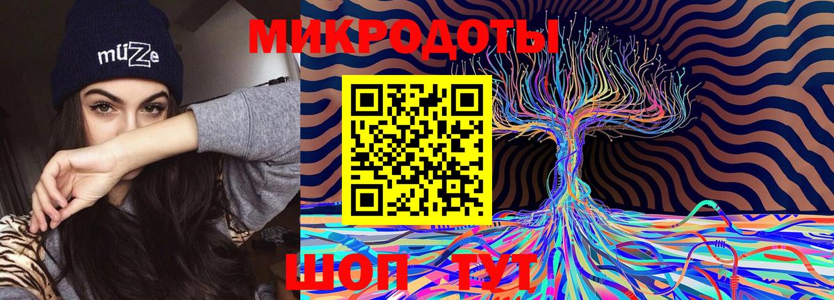 Псилоцибиновые грибы Magic Shrooms  Галлюциногенные грибы Psilocybine cubensis  Карабулак  Вход с VPN 